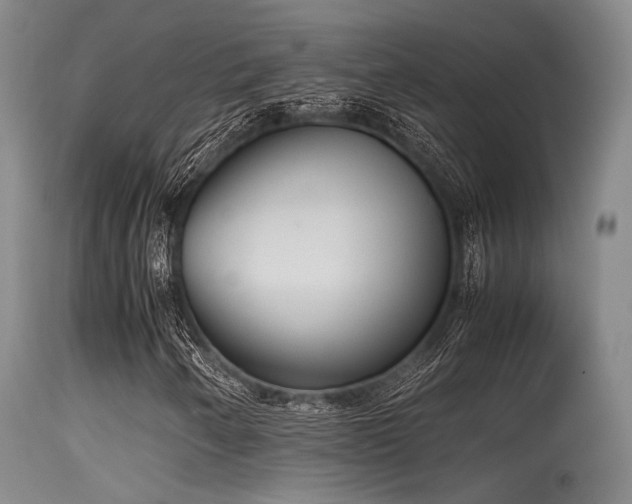 X0000115621250200911101408