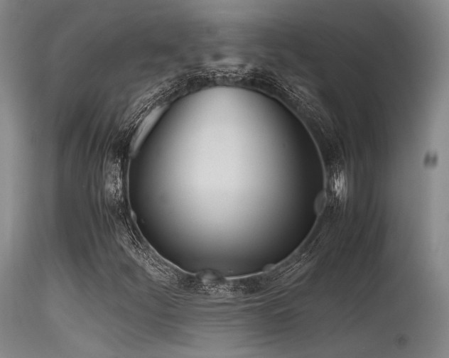 X0000115621252200911101408