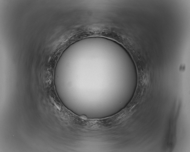 X0000115621253200911101407