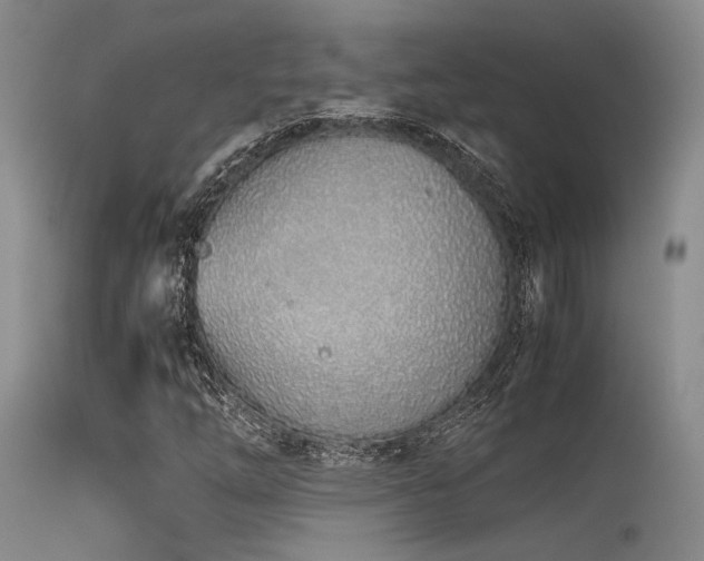 X0000115621254200911101407