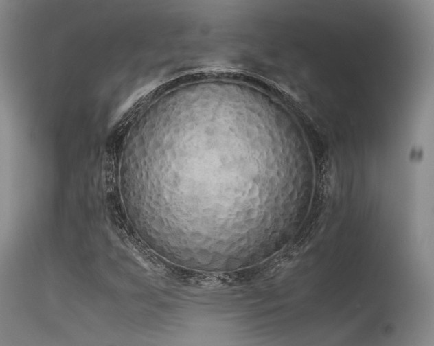 X0000115621255200911101407