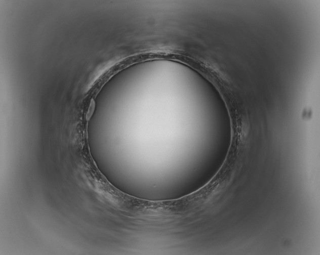 X0000115621256200911101407