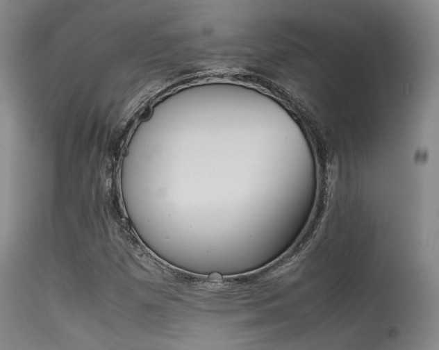 X0000115621257200911101407