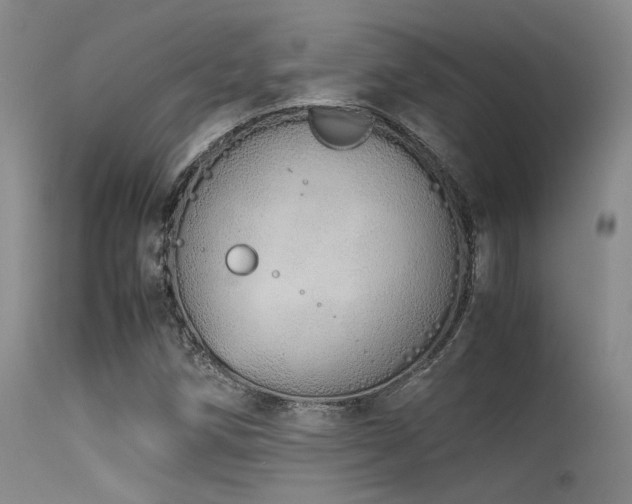 X0000115621258200911101407