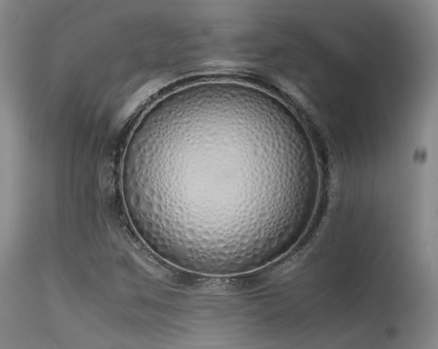 X0000115621259200911101407