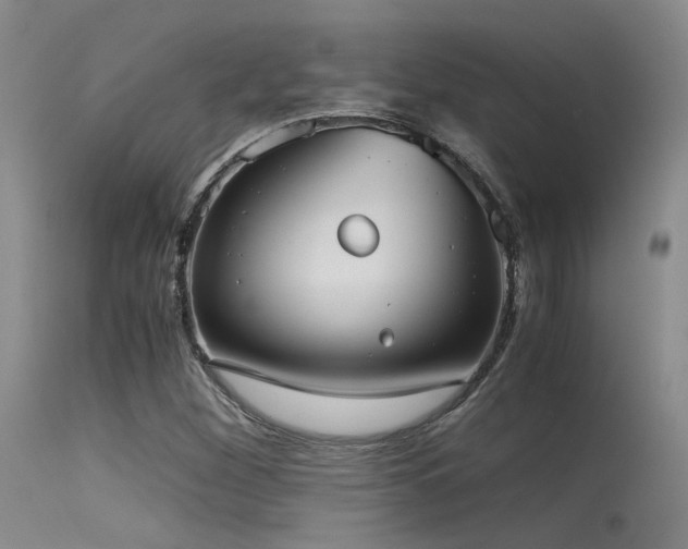 X0000115621260200911101407