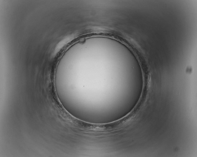 X0000115621261200911101407