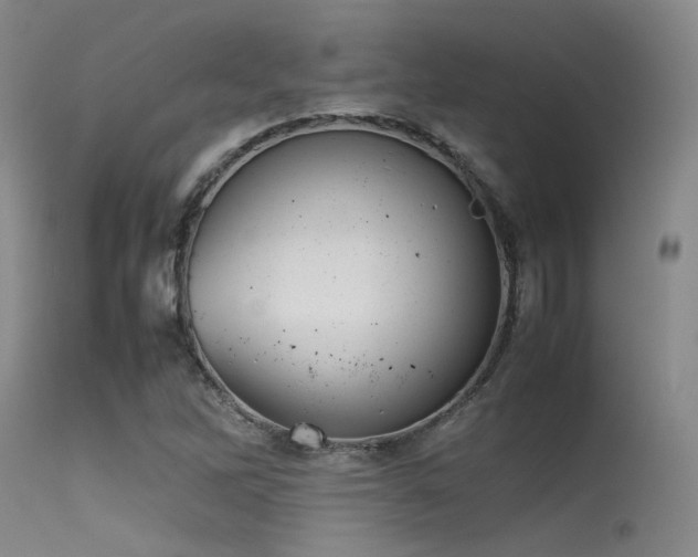 X0000115621262200911101407