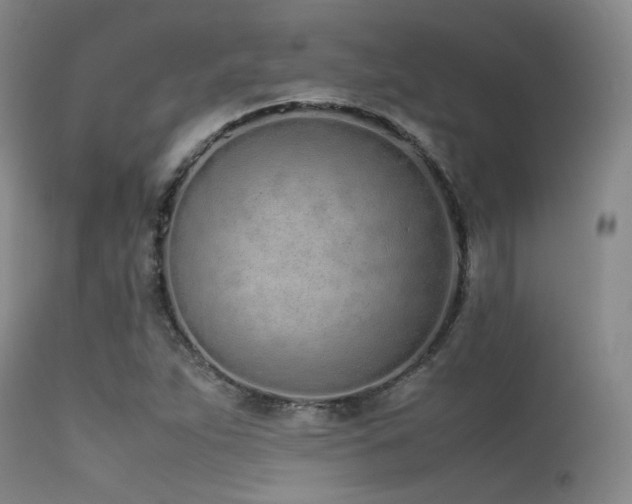 X0000115621263200911101407