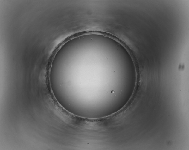 X0000115621264200911101407