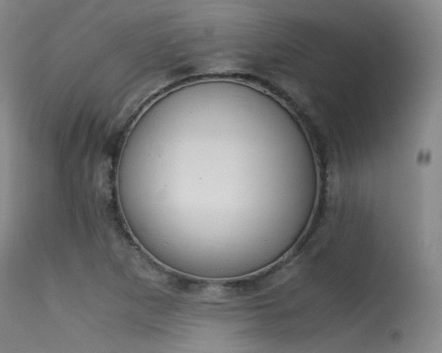 X0000115621265200911101407