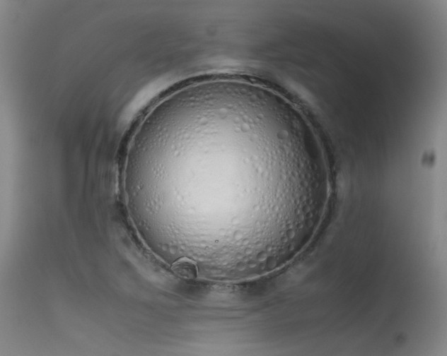 X0000115621267200911101407