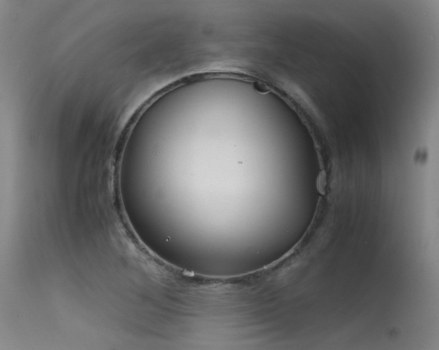 X0000115621268200911101407