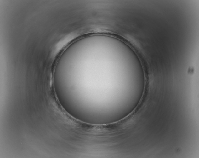 X0000115621269200911101407