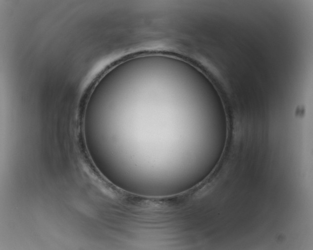 X0000115621270200911101407