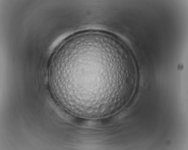 X0000115621271200911101407