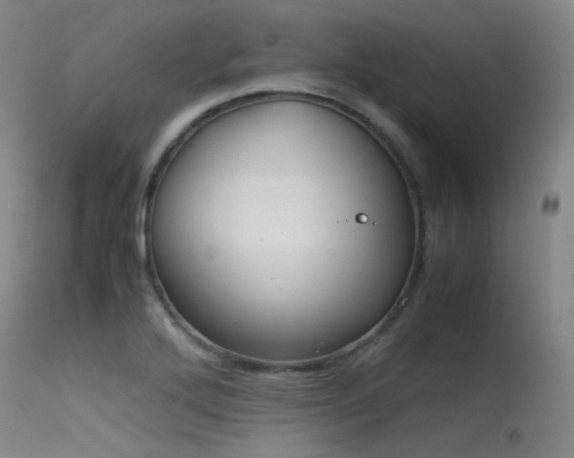 X0000115621272200911101407