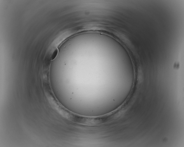 X0000115621273200911101407