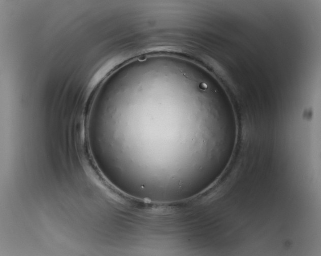 X0000115621274200911101407