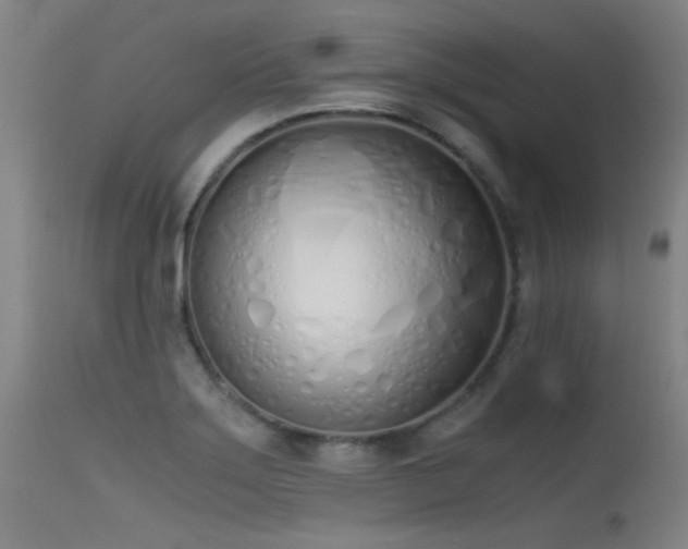 X0000115621275200911101407