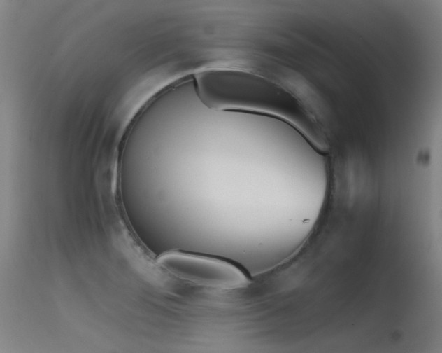 X0000115621276200911101407