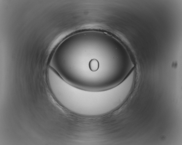 X0000115621277200911101407