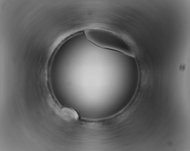 X0000115621280200911101407