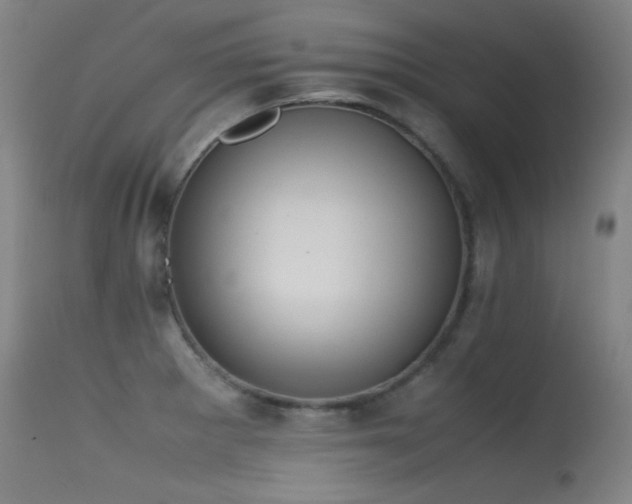 X0000115621281200911101407