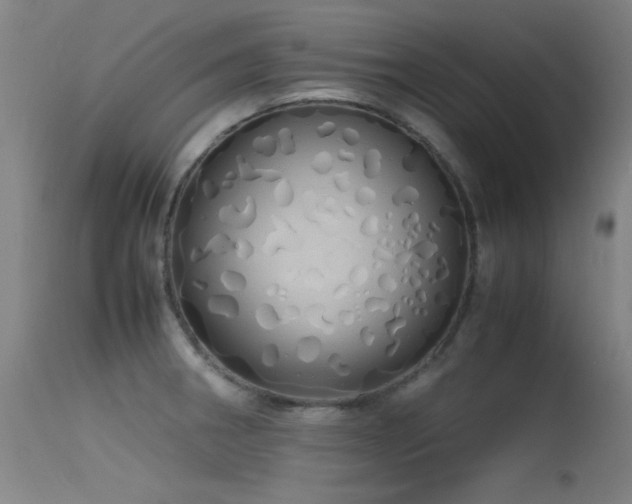 X0000115621282200911101407