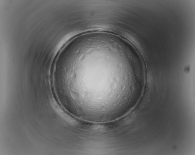 X0000115621283200911101407