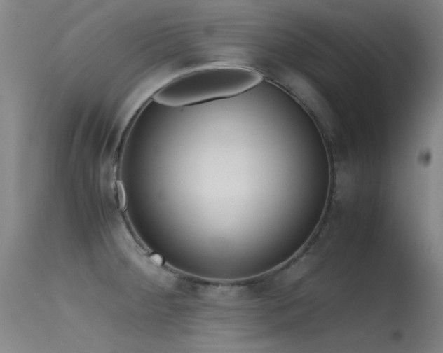 X0000115621284200911101407