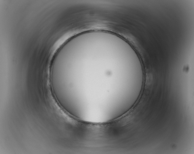 X0000115621286200911101407