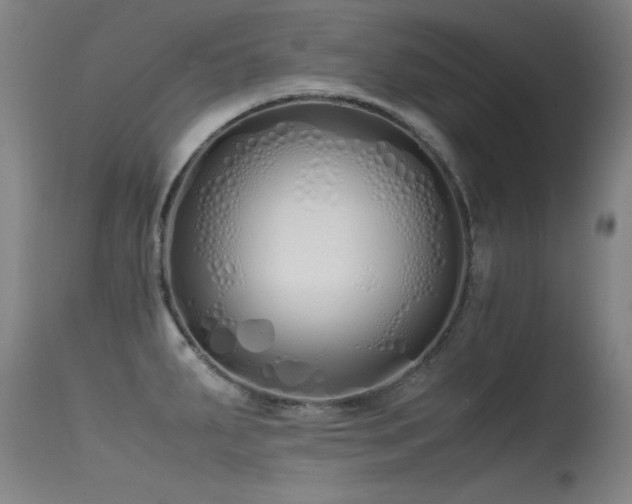 X0000115621287200911101407