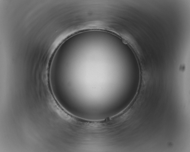 X0000115621288200911101407