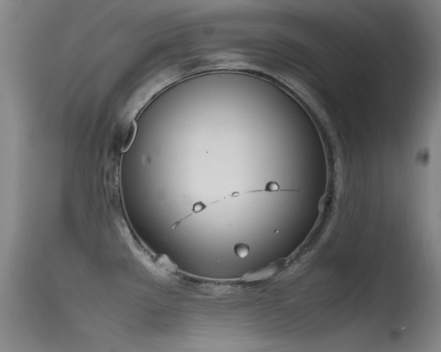 X0000115621289200911101407