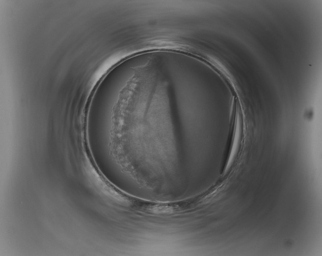 X0000115621291200911101407