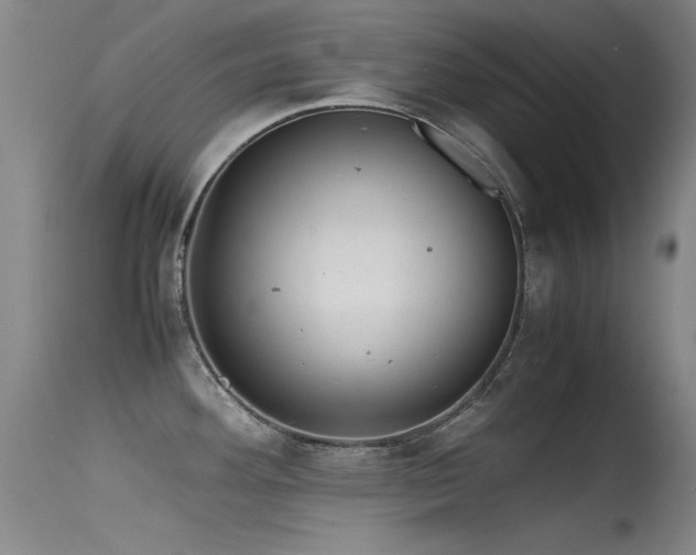 X0000115621292200911101407