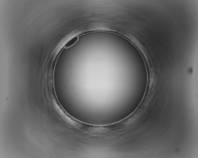 X0000115621293200911101407