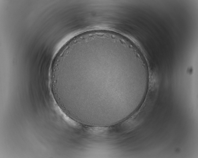 X0000115621294200911101407