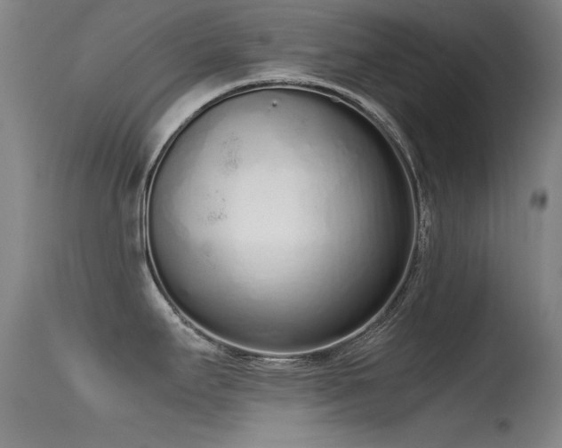 X0000115621295200911101407