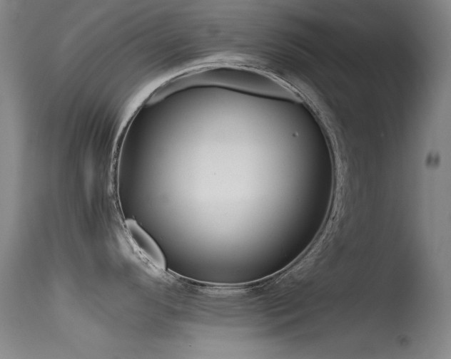 X0000115621296200911101407