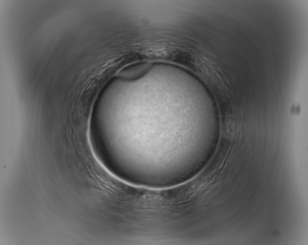 X0000115621297200911101406