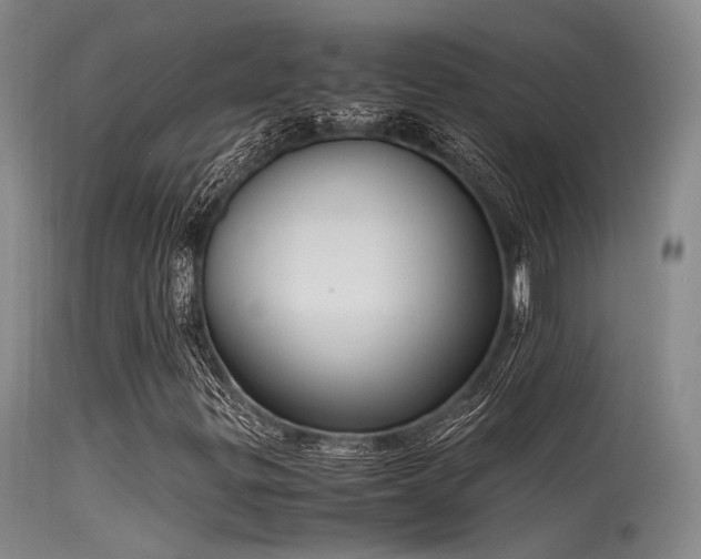 X0000115621299200911101406