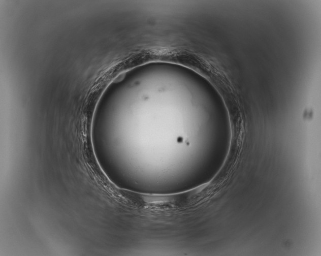 X0000115621301200911101406