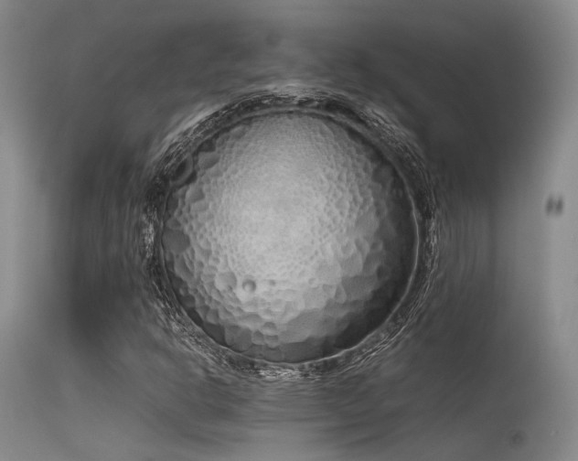 X0000115621302200911101406