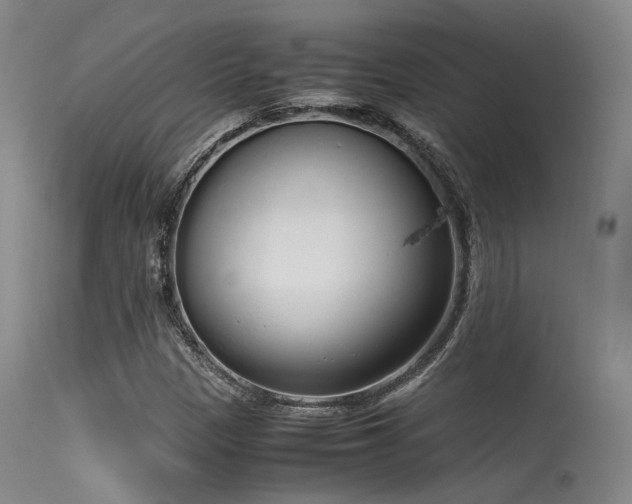 X0000115621305200911101406