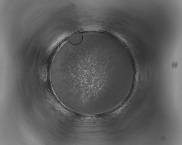 X0000115621306200911101406