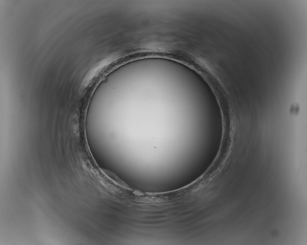 X0000115621307200911101406