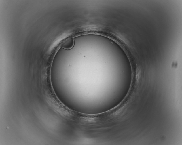 X0000115621309200911101406