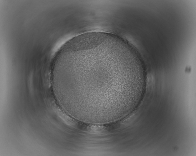 X0000115621310200911101406